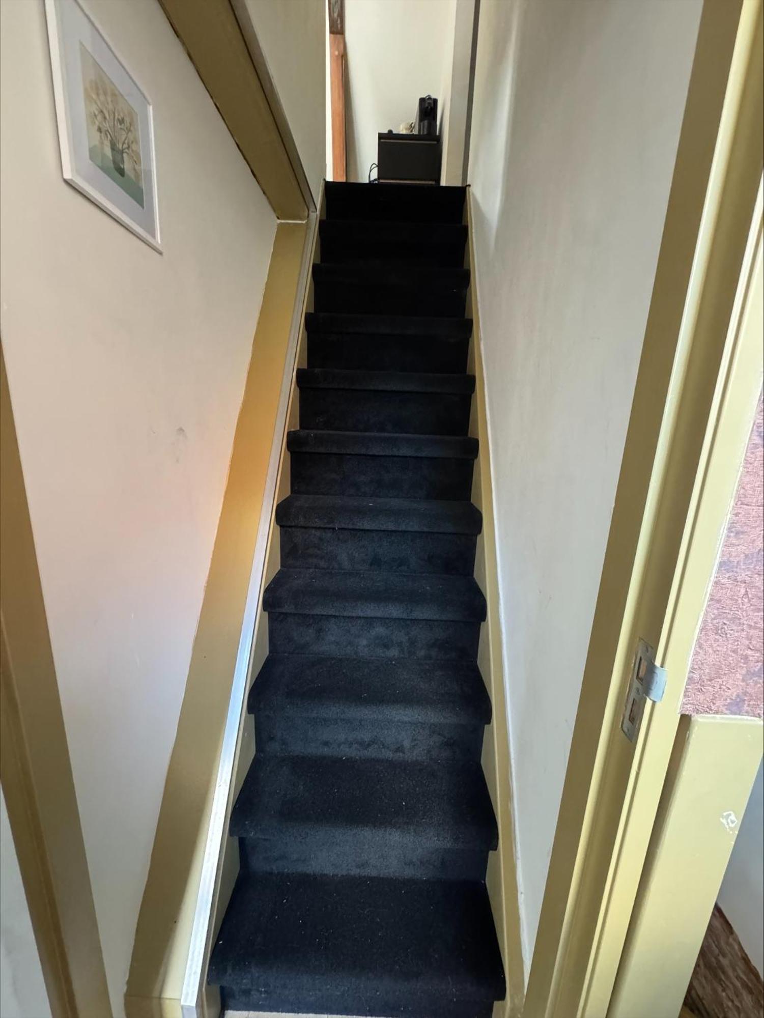 The Hazel House Bed & Breakfast Haarlem